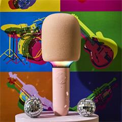 MICRO KARAOKE JE CHANTE COMME CELINE