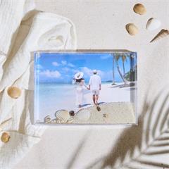 CADRE PHOTO COQUILLAGES ET CRUSTACES
