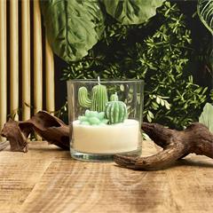BOUGIE PARFUMEE TERRARIUM