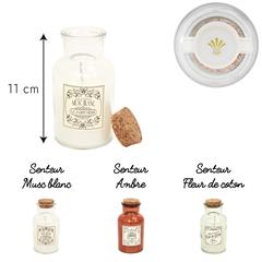BOUGIE PARFUMEE MAISON TRADITION H11CM M24
